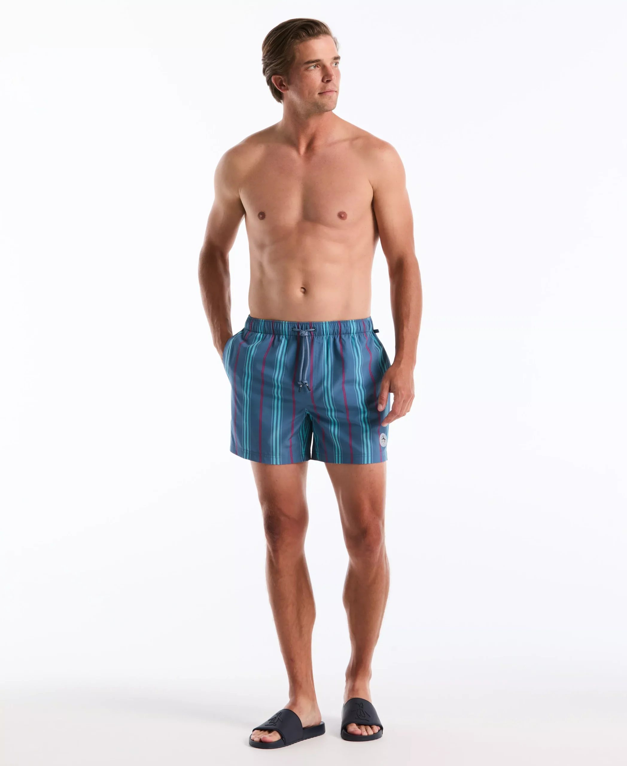 5" Box Stripe Swim Short