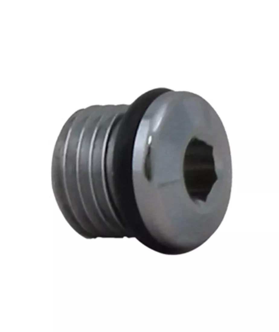 Low Pressure Regulator 3/8in Port Plug
