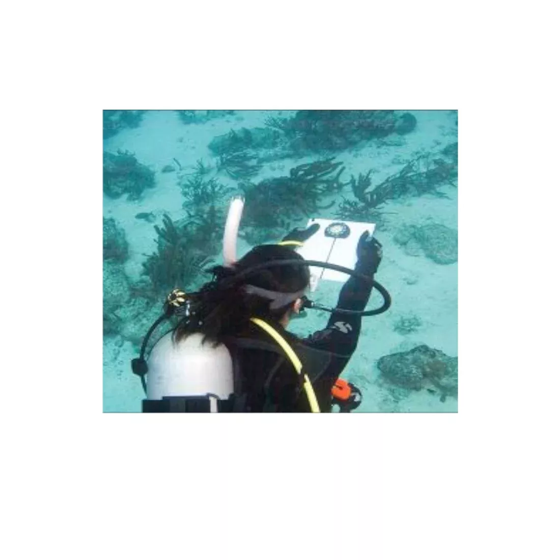Padi eLearning Underwater Navigator Course For Divers